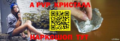 стаф Брянск
