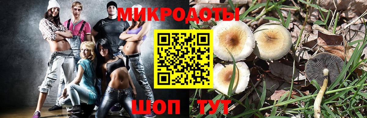 Галлюциногенные грибы прущие грибы Куйбышев